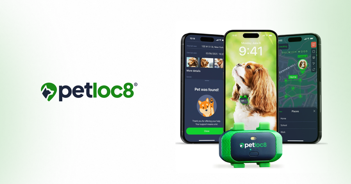 Retention вне стандартных триггеров: как мы построили систему коммуникаций для Petloc8