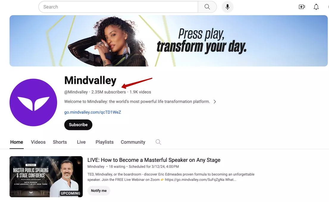 mindvalley