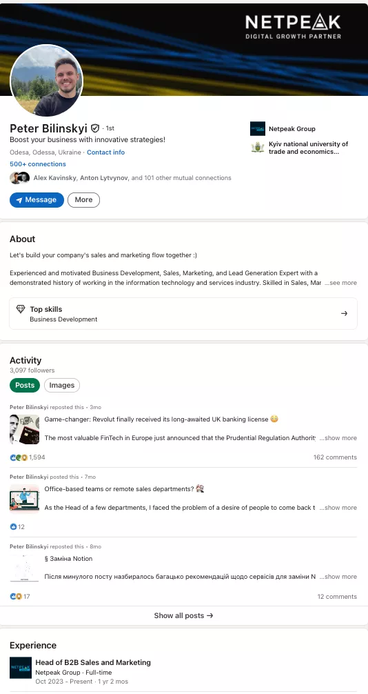 Приклад заповненої сторінки linkedin